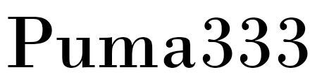 Puma333